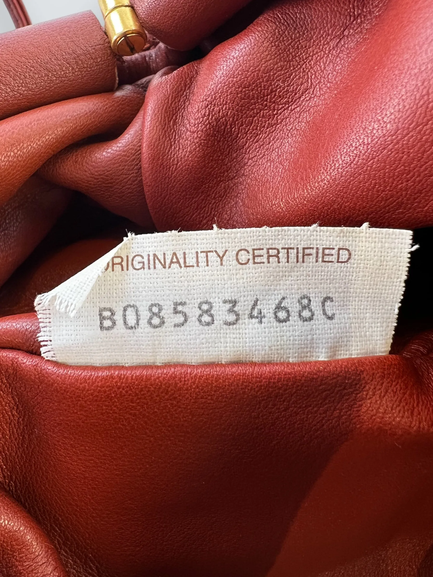 Bottega Veneta Rust The Pouch Mini Crossbody Bag