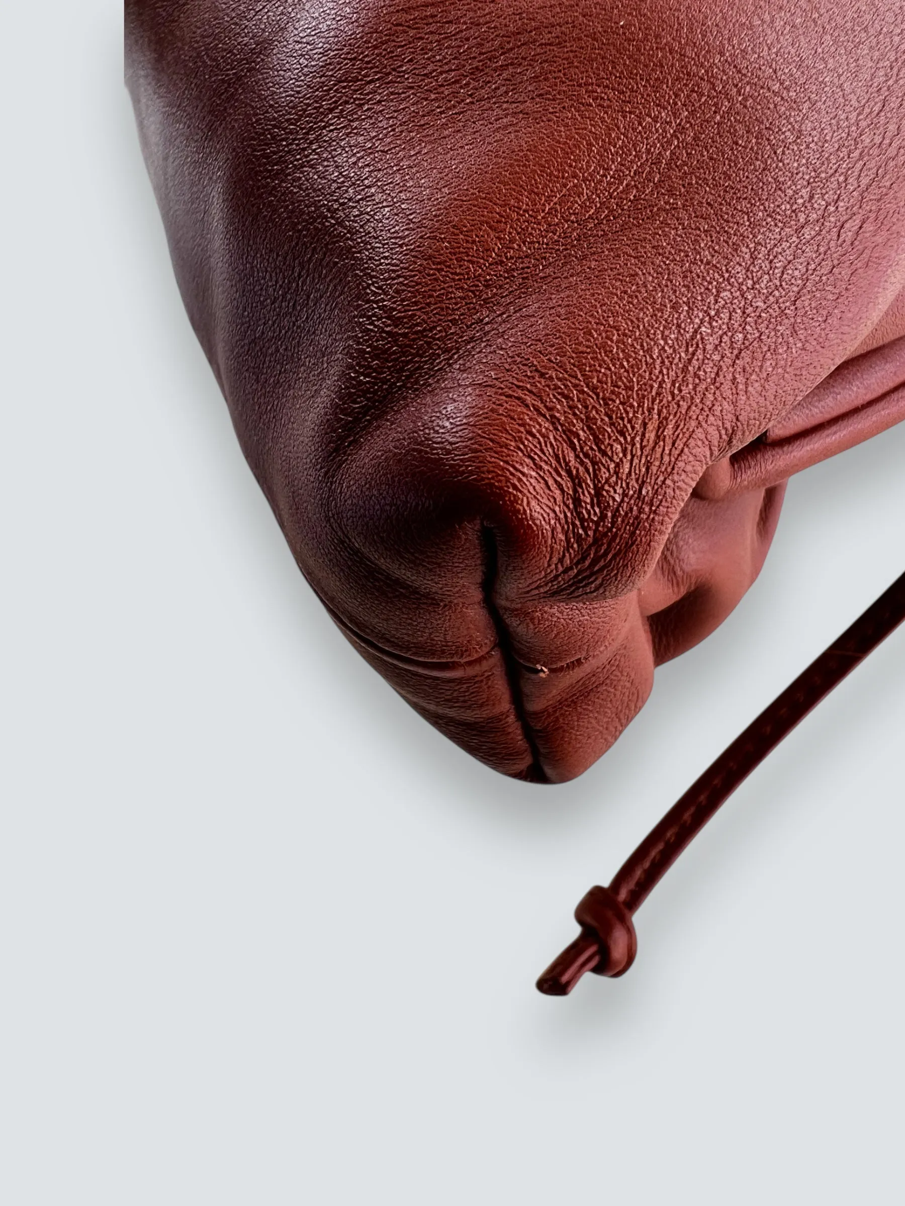 Bottega Veneta Rust The Pouch Mini Crossbody Bag