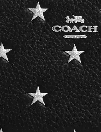 Coach Corner Zip Wristlet With Star Print