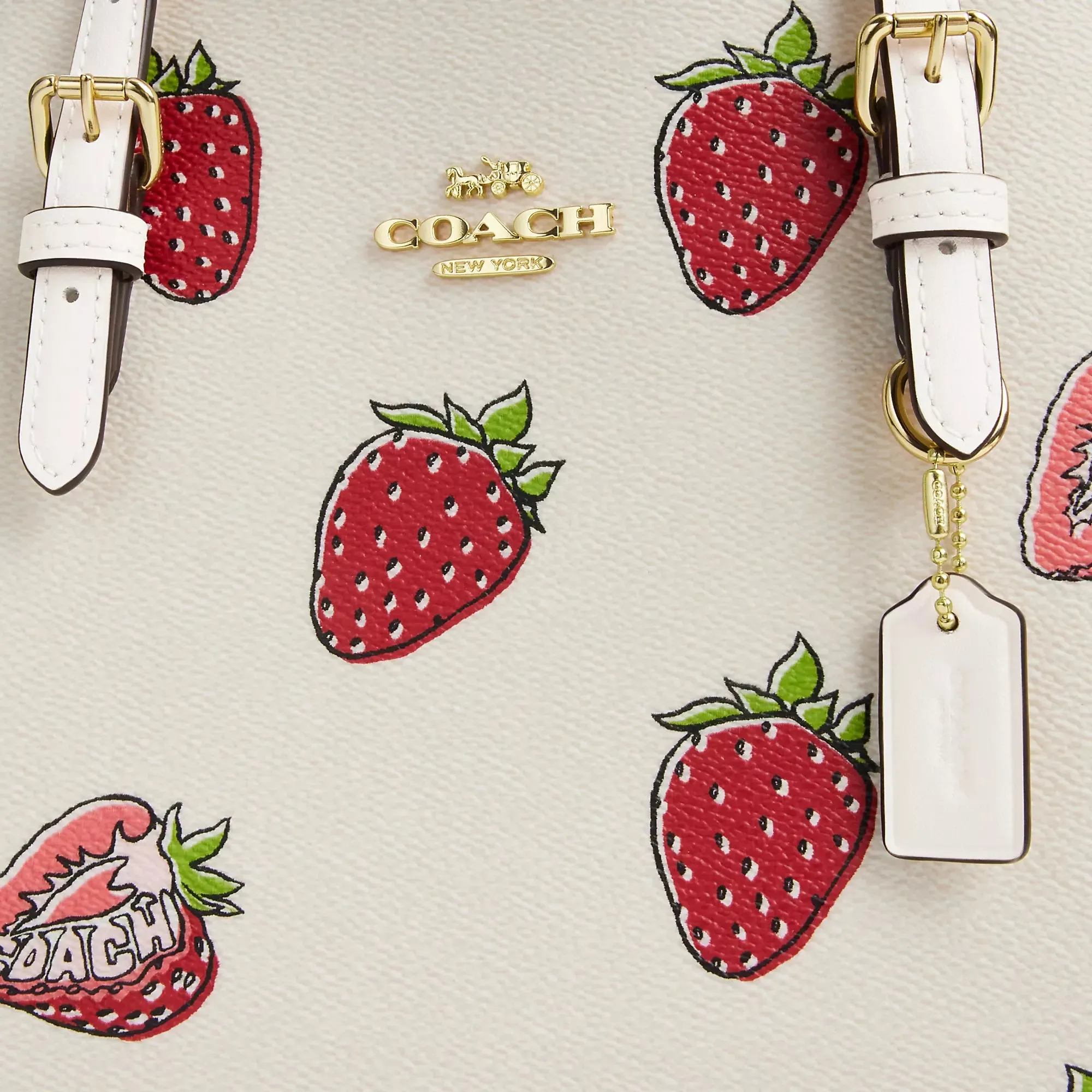 Coach Outlet Mollie Tote Bag 25 With Strawberry Print