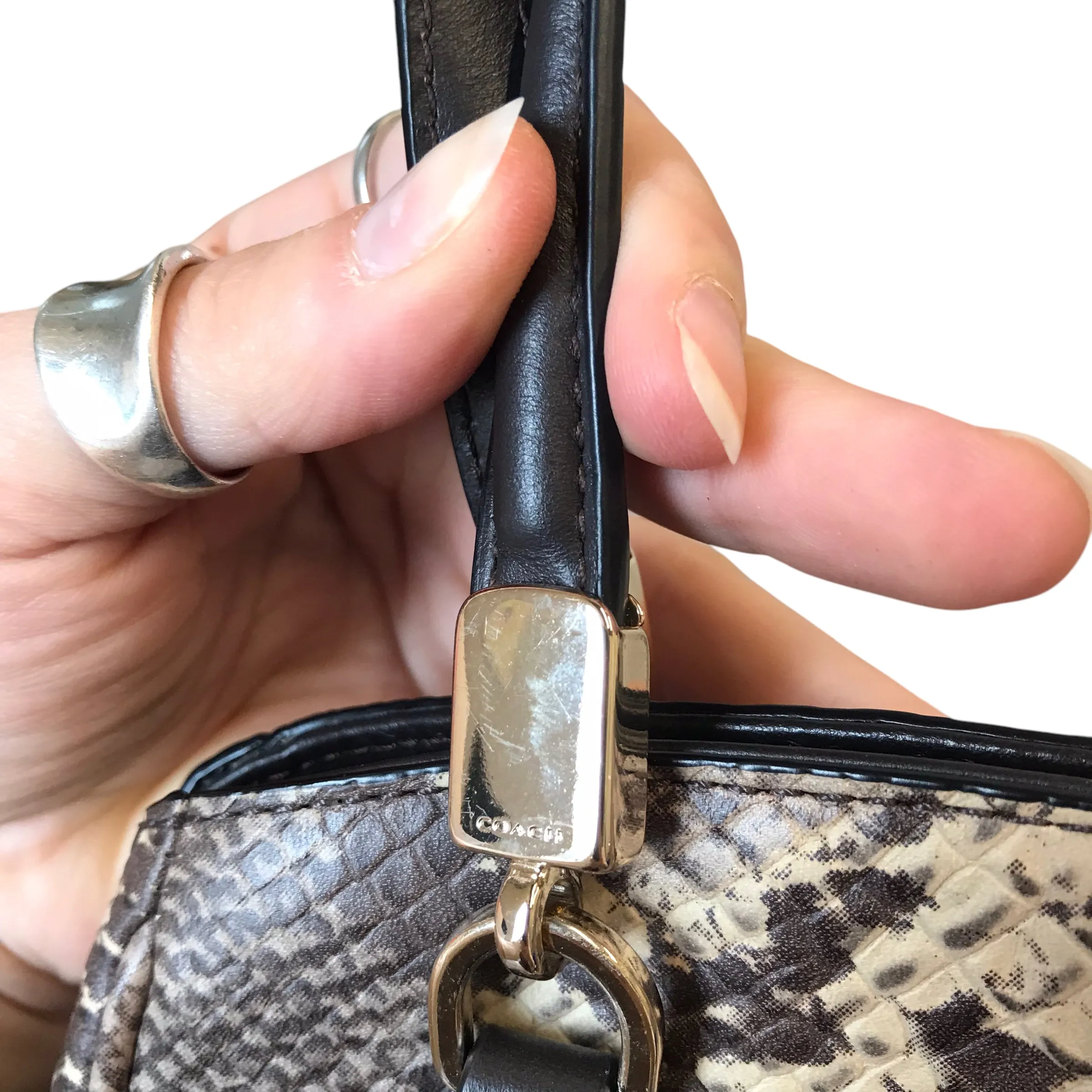 Crossbody Designer By Coach In Snakeskin Print, Size:Medium