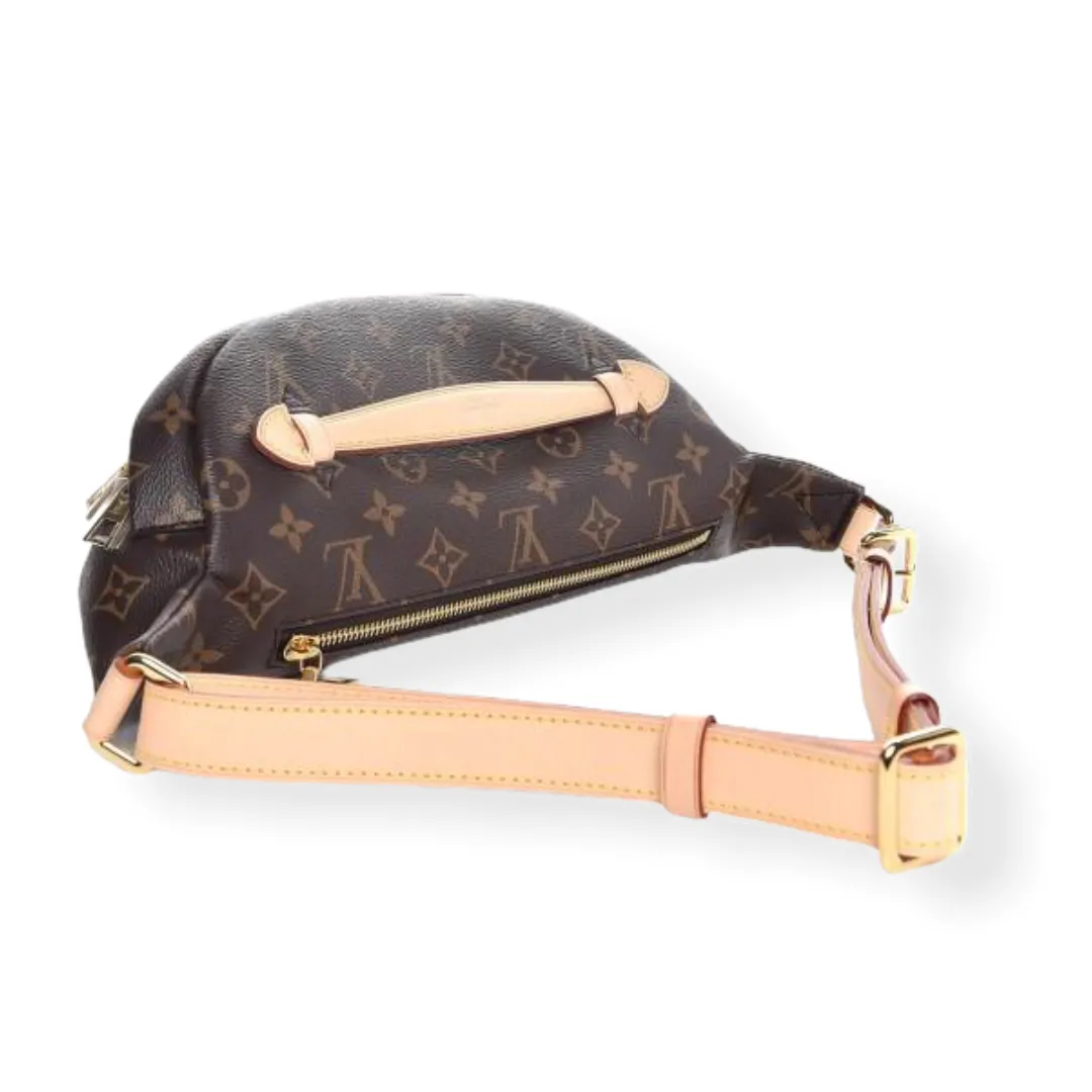 Louis Vuitton Bumbag Monogram Canvas