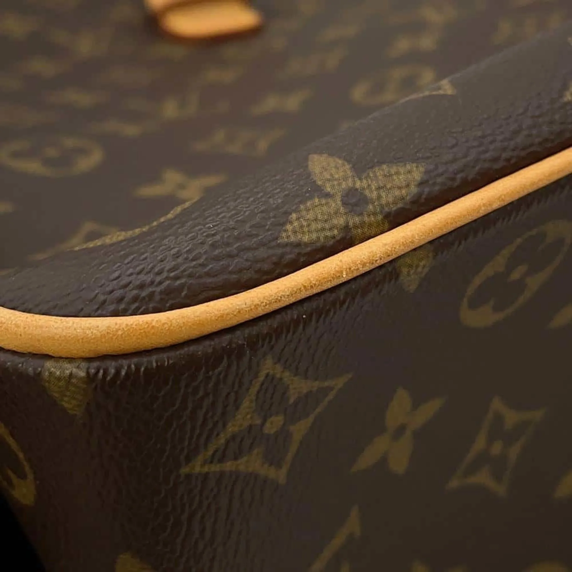 Louis Vuitton Viva Cit Canvas Tote Bag (Pre-Owned)