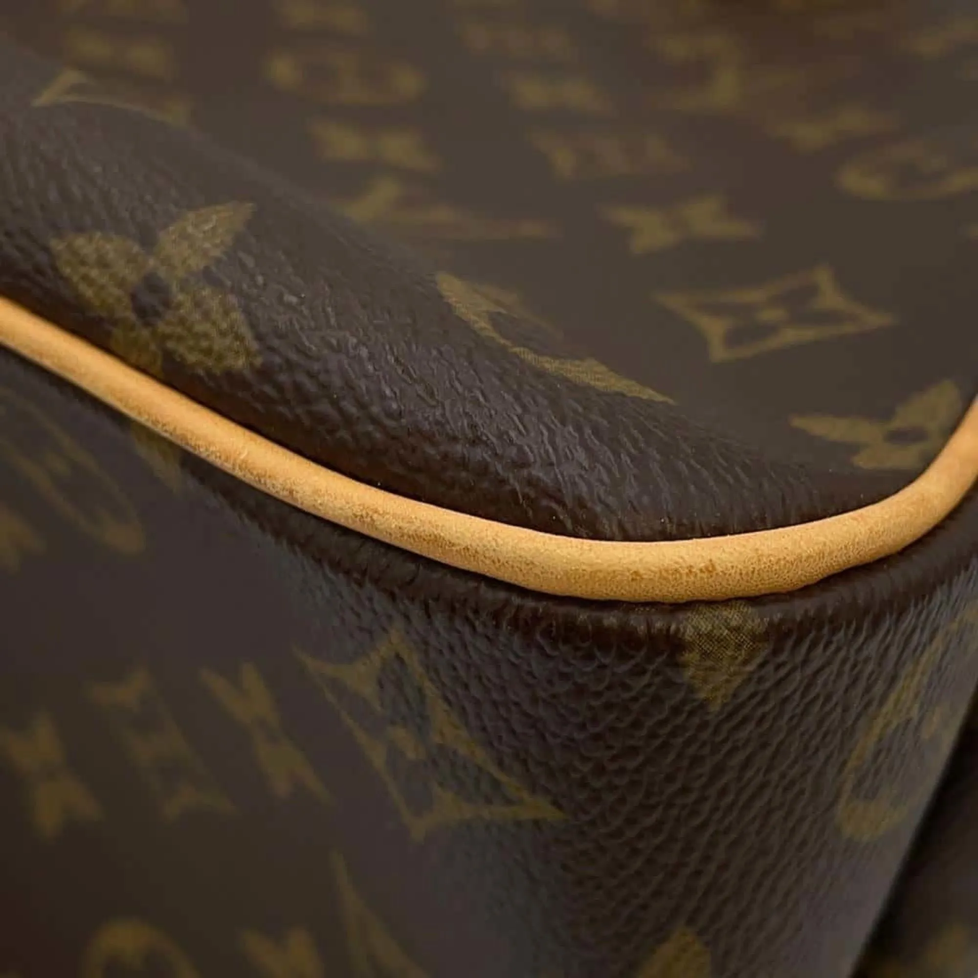 Louis Vuitton Viva Cit Canvas Tote Bag (Pre-Owned)