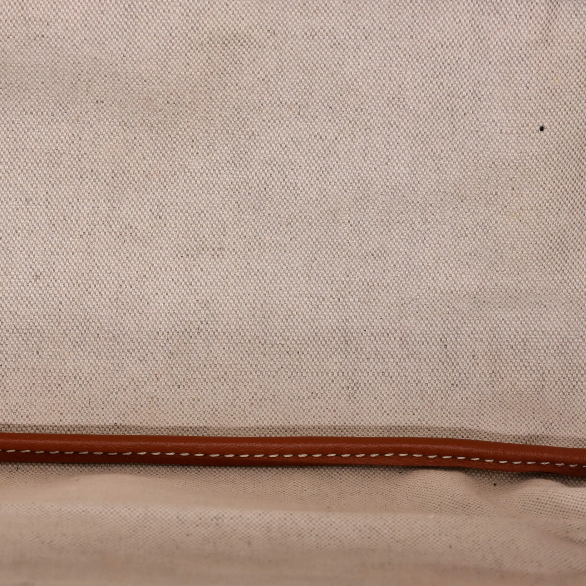 Saint Louis Tote Coated Canvas PM