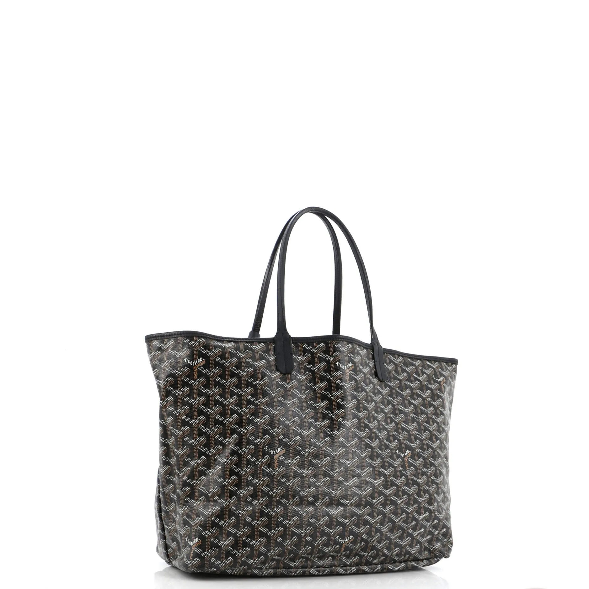 Saint Louis Tote Coated Canvas PM