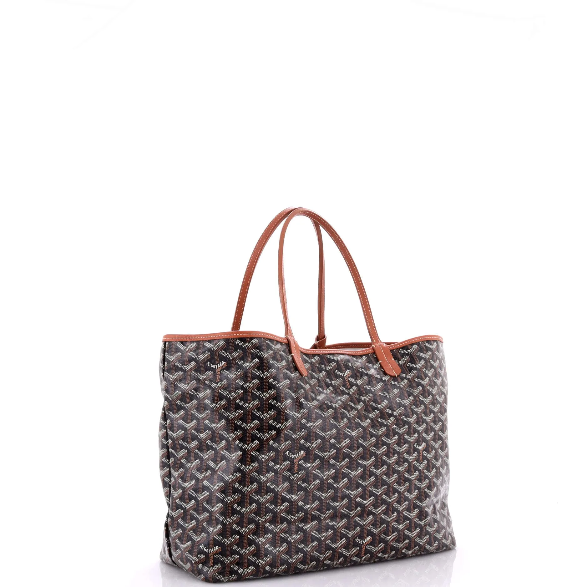 Saint Louis Tote Coated Canvas PM